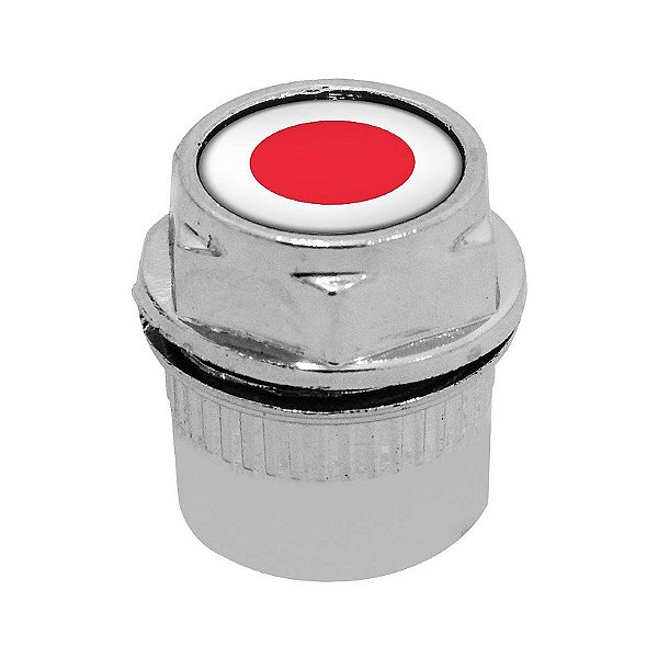 Capa Bico de Válvula Cromado Pneu Japão