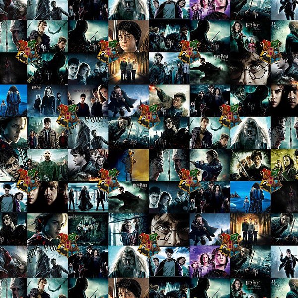 Tecido Oxfordine Estampa Digital 5m - Harry Potter 2
