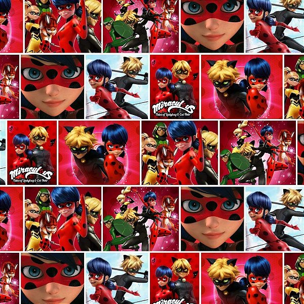 Tecido Oxfordine Estampa Digital 5m - Ladybug 3