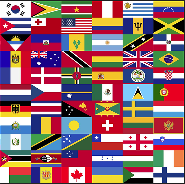 Tecido Microfibra Estampa Digital 50 cm - BANDEIRA PAISES