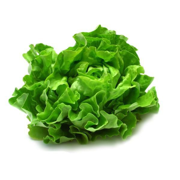 Alface lisa orgânica - Unid.