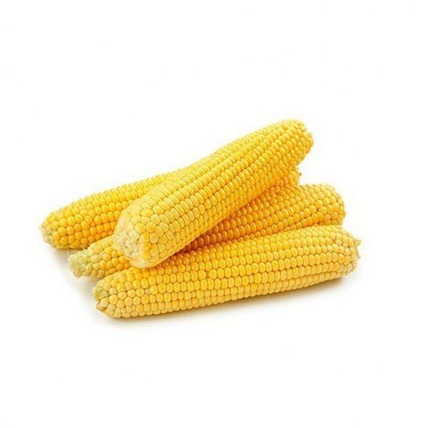 Milho verde orgânico - 500g