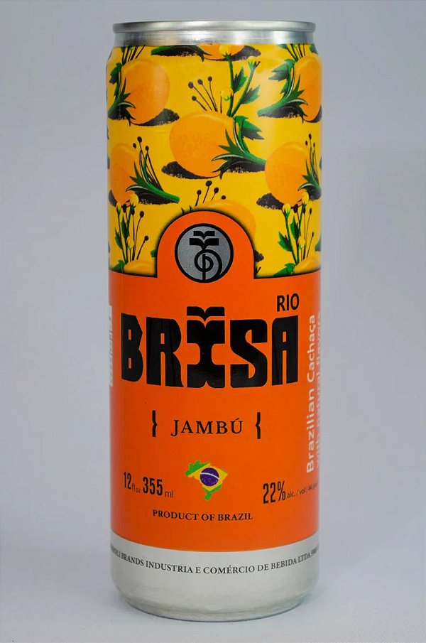 BRISA DRINKS BEIJAMBÚ (JAMBÚ)