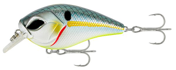 Isca Crown Ogui 60