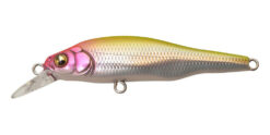 Isca Megabass X-80Jr.