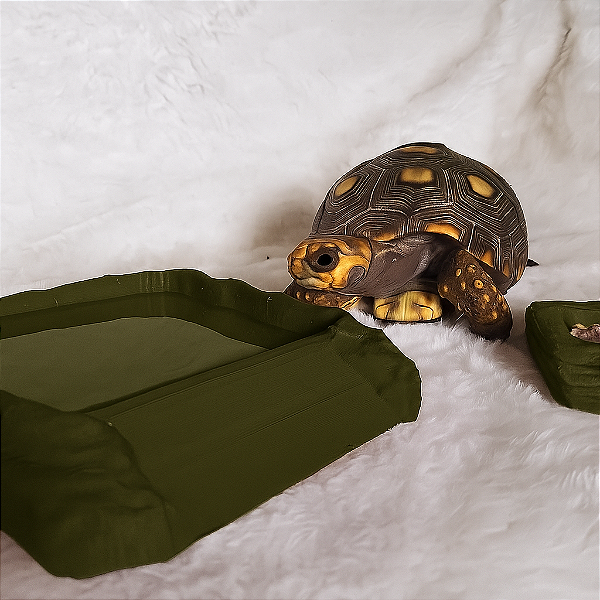 Kit Comedouro e Bebedouro pequeno para Répteis - Cor Verde Musgo