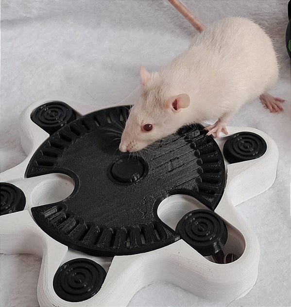 Brinquedo Interativo para Roedores (Rato Twister, Chinchilas) - Cor Branco\Preto