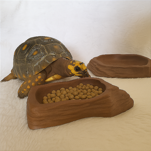 Kit Comedouro e Bebedouro pequeno para Répteis - Cor Marrom