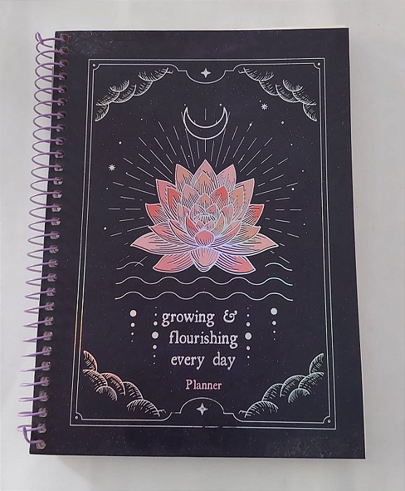 Planner Mystic