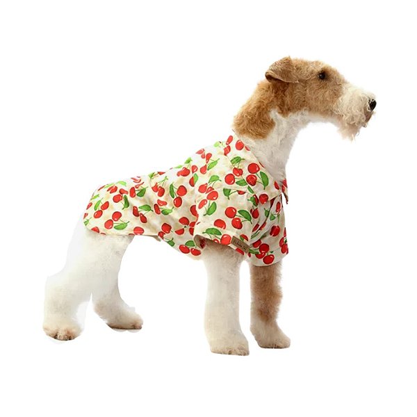 Camisa PET Fruit Cereja