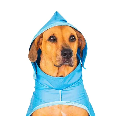 Capa de chuva PET