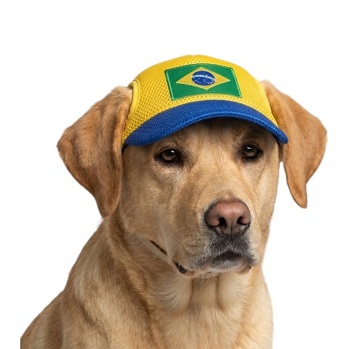Boné Pet Brasil com Bandeira Bordada – Acessório Estiloso para Cães e Gatos
