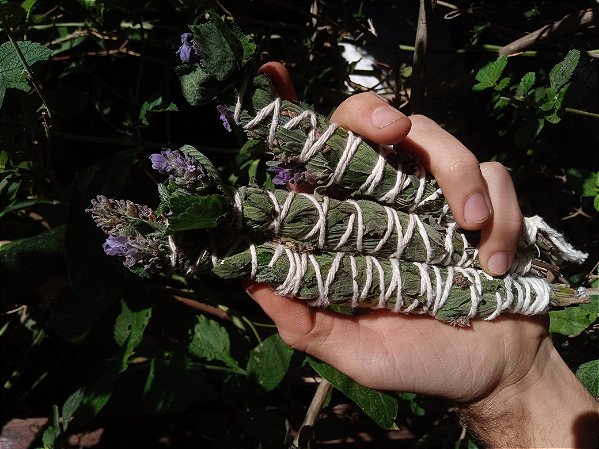 Bastão de Lavanda/Alfazema e Erva-Cidreira