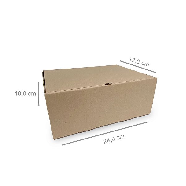 Caixa D0 cv - 20 unidades (24x17x10 cm)