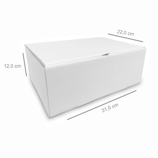 Caixa G0 Branco cv - 20 unidades (31x22x12 cm)