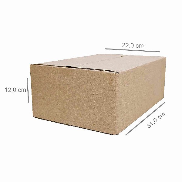 Caixa G0 - 20 unidades (31x22x12 cm)