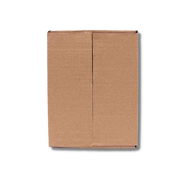 Caixa B0 - 20 unidades (19x16x7 cm)