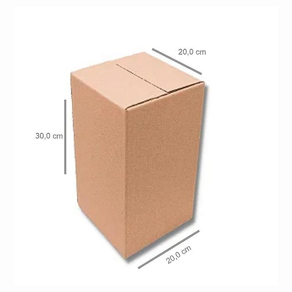 Caixa C1 - 20 unidades (20x20x30 cm)