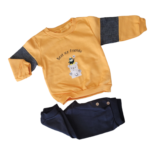 Conjunto moletom masculino pinguins