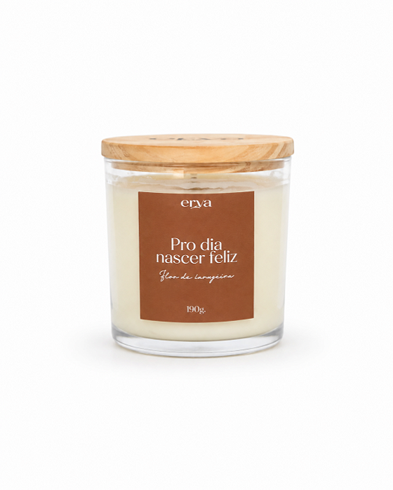 Vela aromática Luz