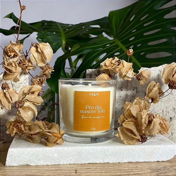 Vela aromática - Pro dia nascer feliz 190g
