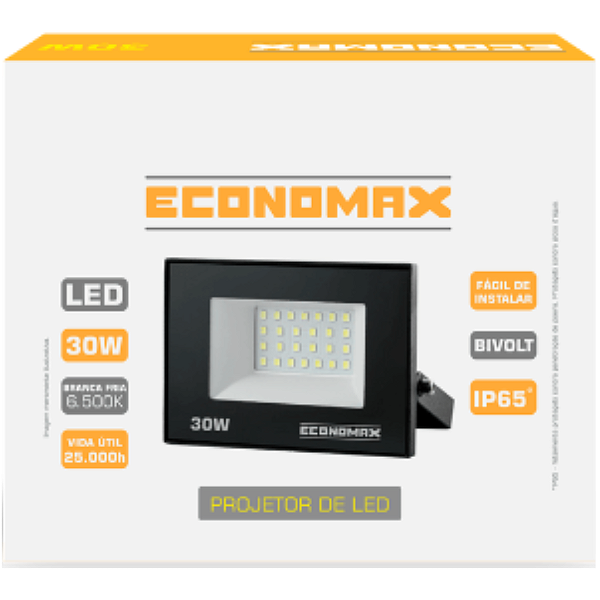Projetor Refletor 6500k Led Branca Fria 30w T100-240v ecomax