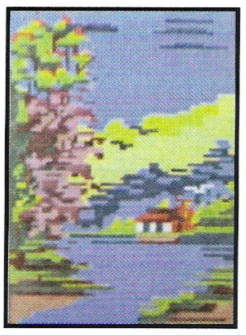 Tela para Bordar – Lago 11504