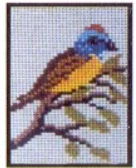 Tela para Bordar – Saíra 1815