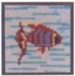 Tela para Bordar – Peixe 1956