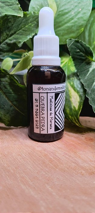 Fitoterápico para Quabrar Pedra