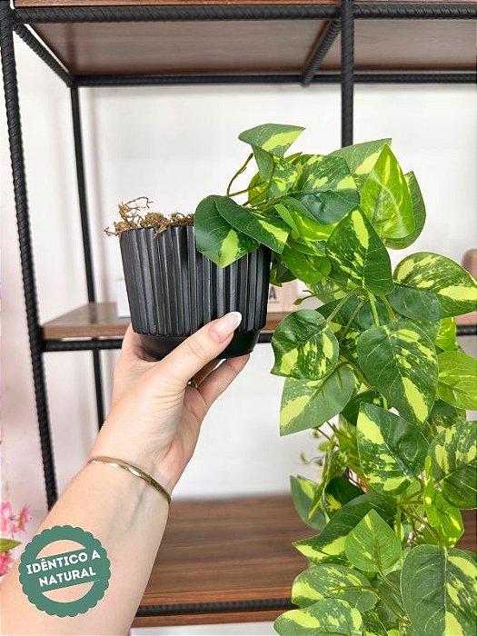 Pendente Artificial Jiboia Verde/Creme 100cm Vaso Preto