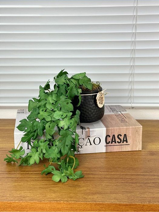 Arranjo Artificial Mini Costela de Adão 25cm 1Haste Vaso Cerâmica Preto