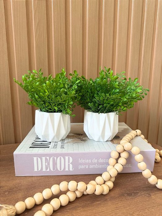 Duplinha Verde Dichidia Vaso Cerâmica Branco