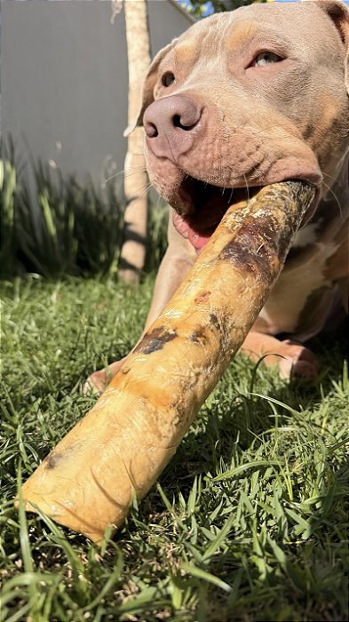 Rocambole de Pele Bovina G 1un - Alecrim Pet