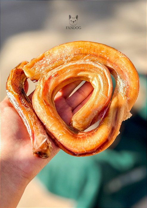 Vergalhão Bovino 1un - Pet Bem