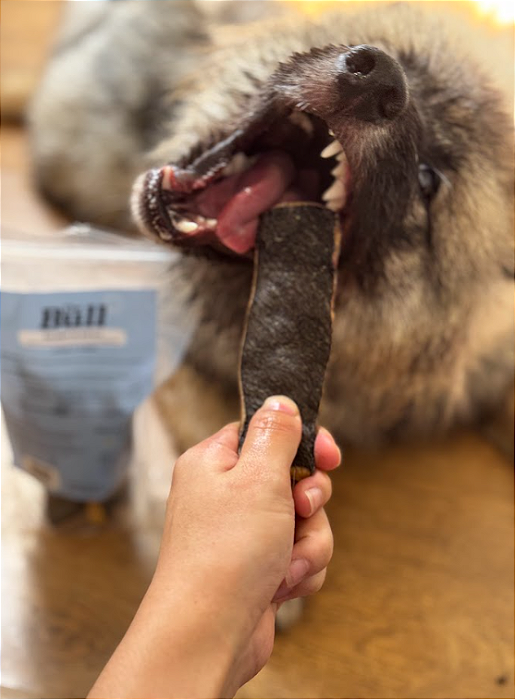 Tirinhas de Pele de Búfalo 8un - The Bull