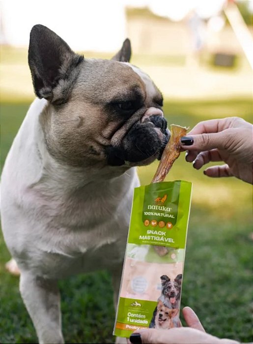 Snack de Tendão Bovino sem Pelos 1un - Natuka