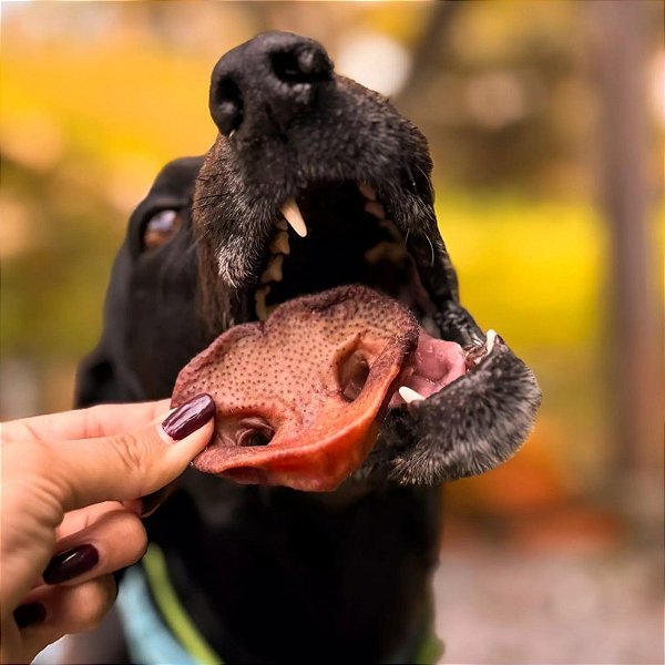 Focinho Suíno 6un - Pet Bem