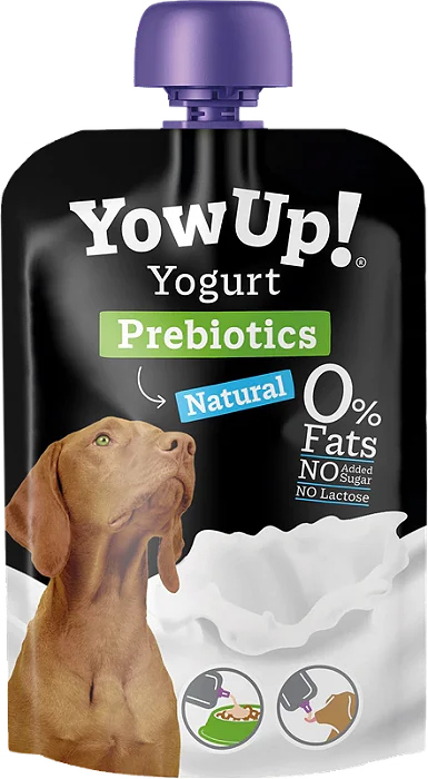 Iogurte com Probiótico para Cães 115g - YowUp