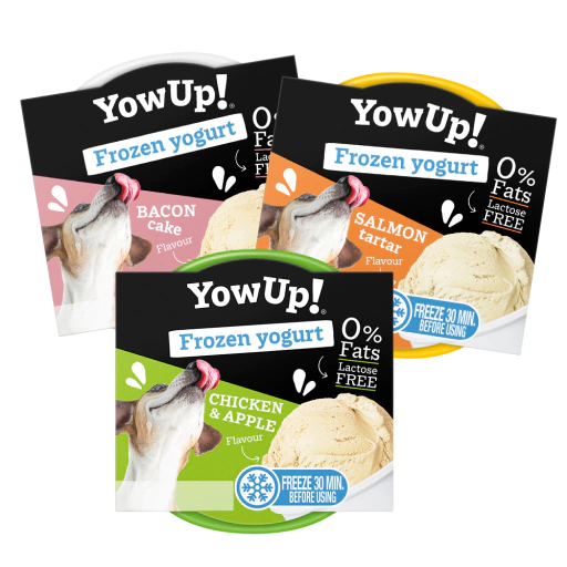 Sorvete Frozen Iogurte Sabor Bacon 110g - YowUp