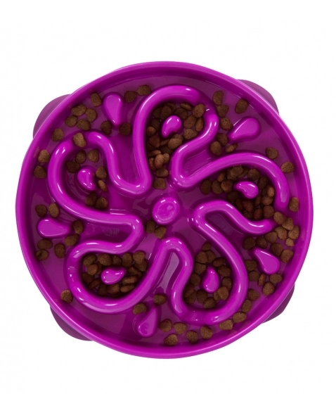 Comedouro Lento OH Fun Feeder SloBowl Roxo G - Outward Hound