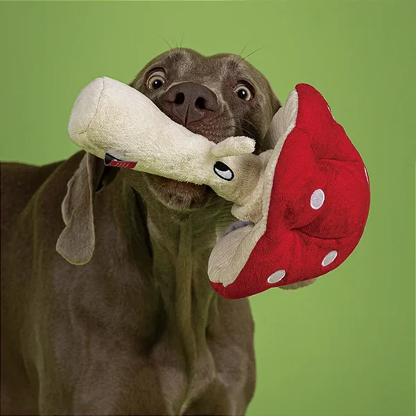 Cogumelo Interativo Porta Petiscos - Petta