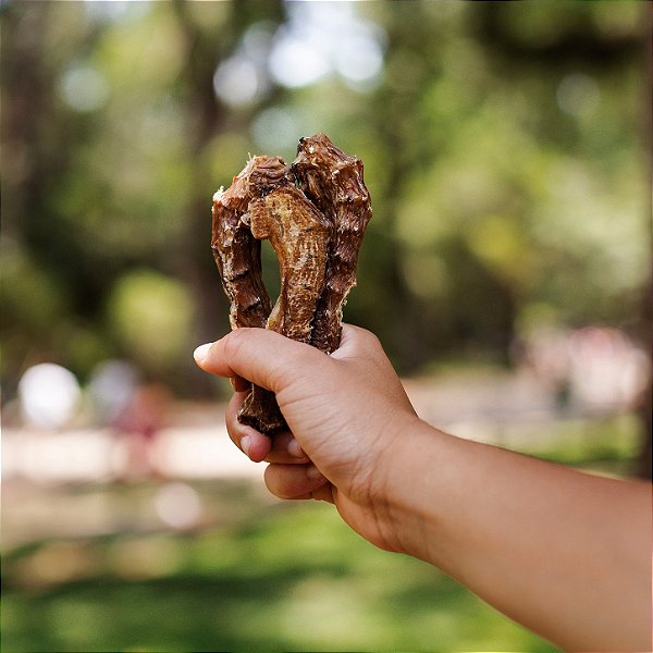 Pescoço de Frango Desidratado 150g - Raw Raw