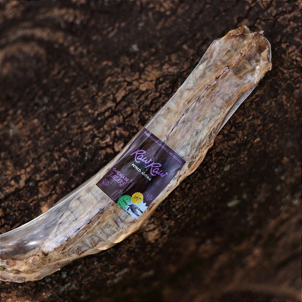 Carcaça de Jacaré 1 un G- Raw Raw