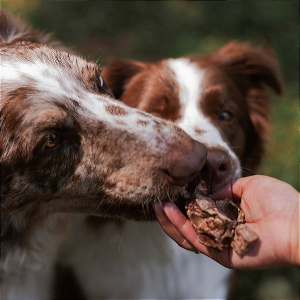 Petisco de Pulmão Suíno Bag para Cães e Gatos 70g - Raw Raw