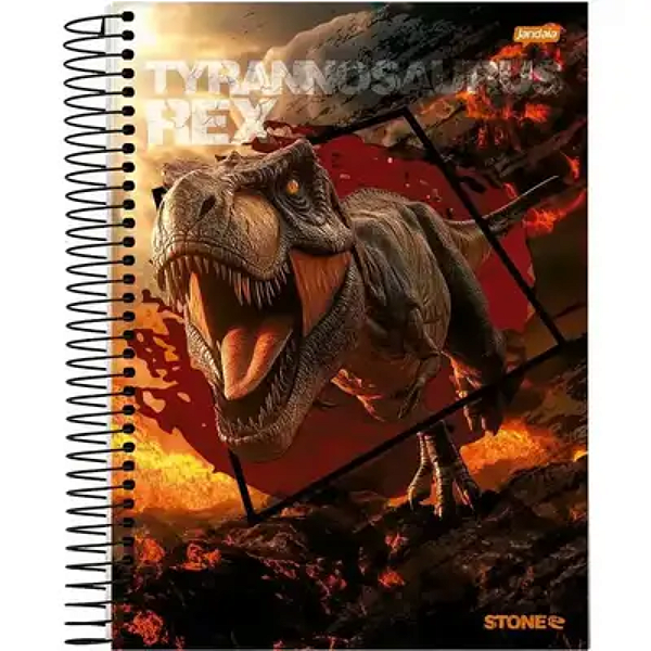 Caderno Universitário Capa Dura Jandaia Stone 15 Matérias 240 folhas Sortido