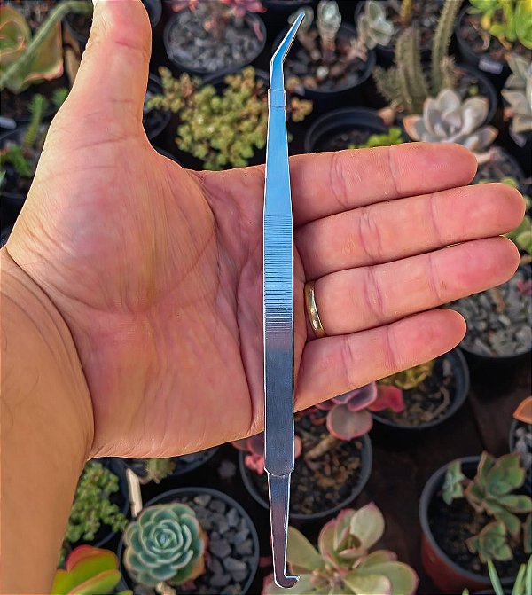 Pinça de Ponta Curva - Ideal para Jardinagem - 18cm