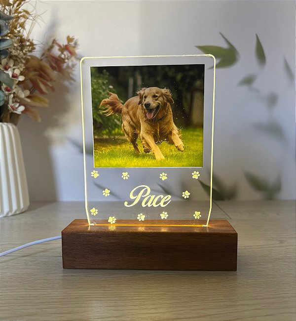 Luminária Foto de Pet -Personalize