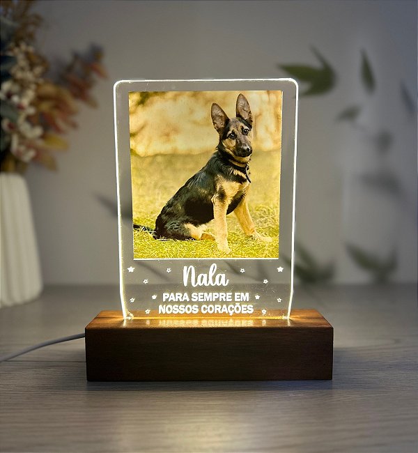 Luminária foto personalizada para Pets -Personalize