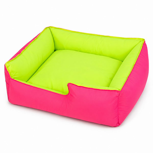 Caminha Neon Divertida